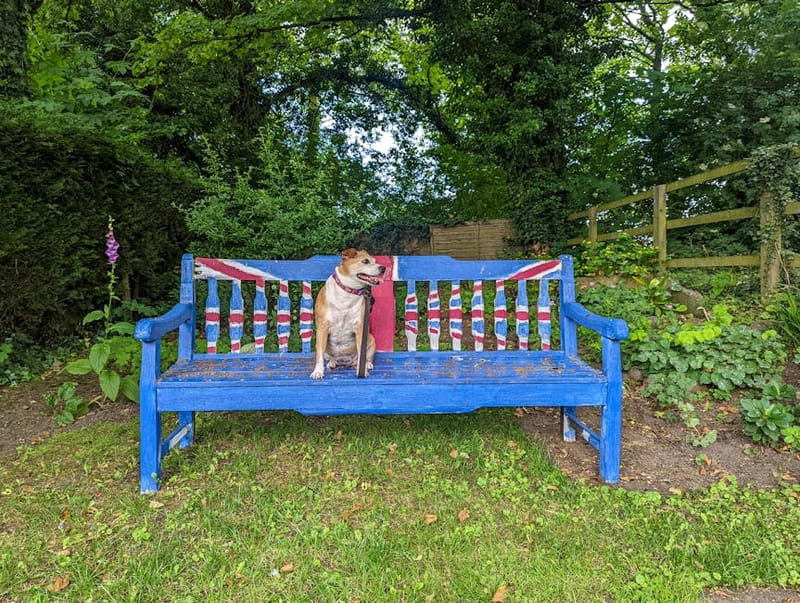 Dog-Friendly UK Attractions and Theme Parks: 2026 Guide