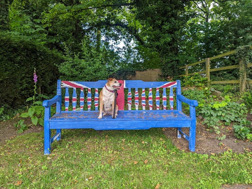 Dog-Friendly UK Attractions and Theme Parks: 2026 Guide