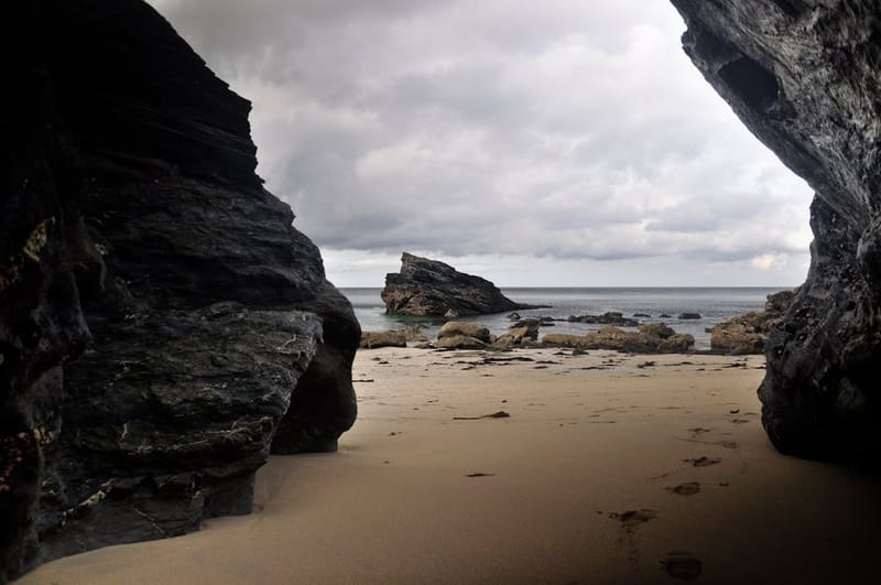 Dog-Friendly Beaches in Cornwall: Your Complete 2026 Guide