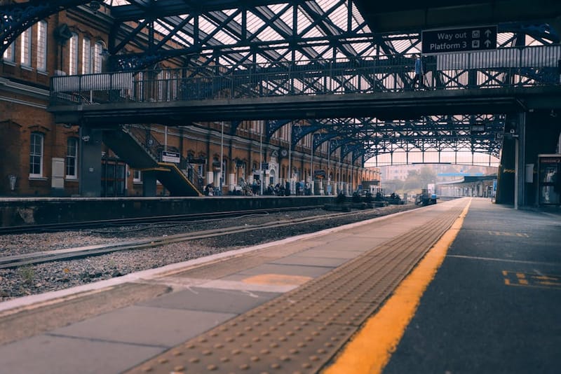 How to Travel With Your Dog by Train in the UK