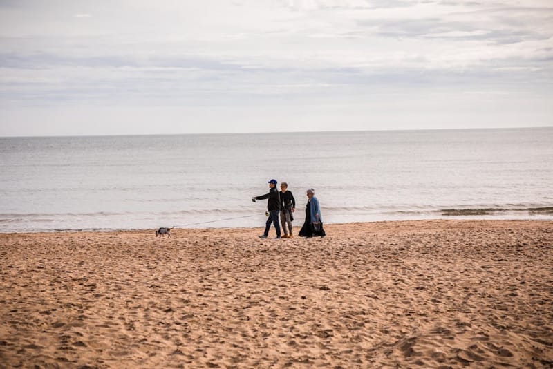 A family walking their dog along the sand on Bournemouth beach at low tide, England