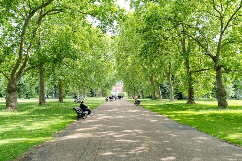 Dog-Friendly London: The Complete City Guide for 2026