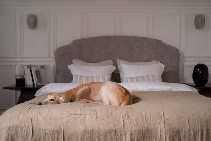 Dog-Friendly Spa Hotels in the UK (2026)