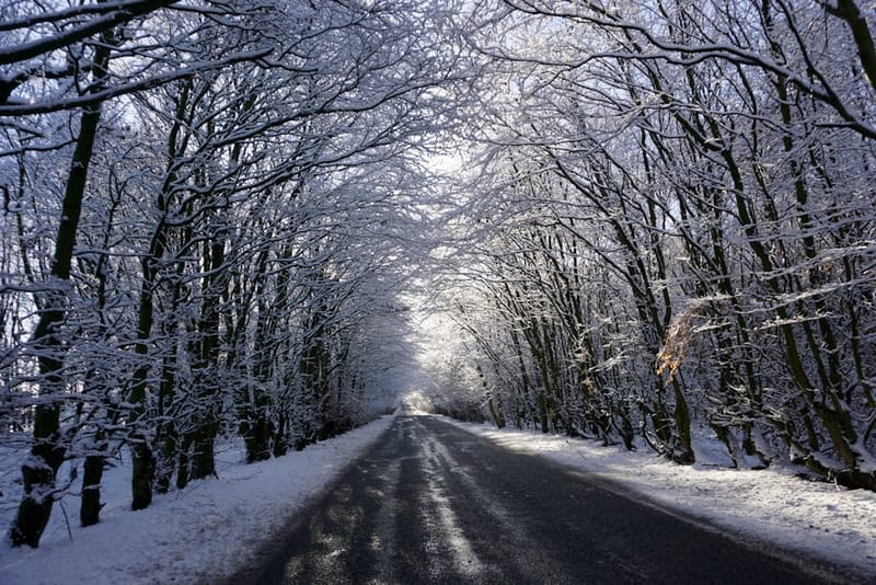 A picturesque frosty winter road through a tunnel of snowy trees in the UK countryside.