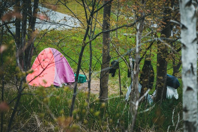 Camping tent pitched in a forest clearing