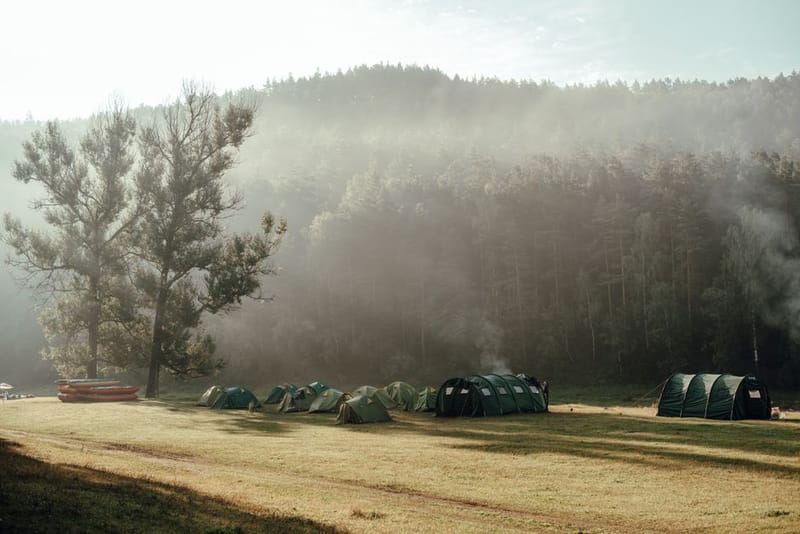 Dog Camping UK 2026 - Best Sites + Equipment