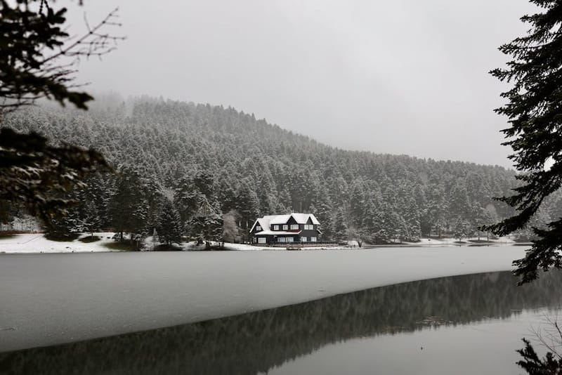 A serene winter landscape of a snow-covered forest and cottage by the lake in Bolu, Turkey.
