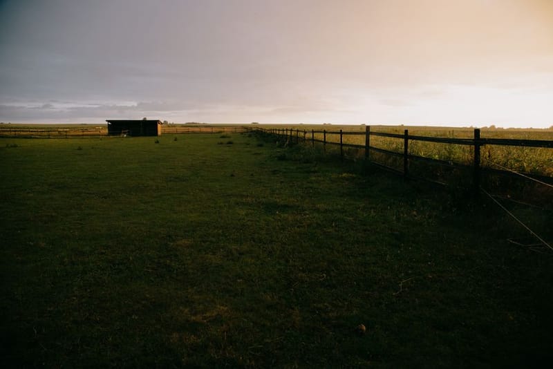 Dog-Friendly Shepherd's Huts in the UK (2026)