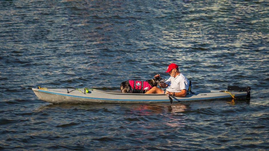 A small dog in a red life jacket sitting in a kayak with its owner