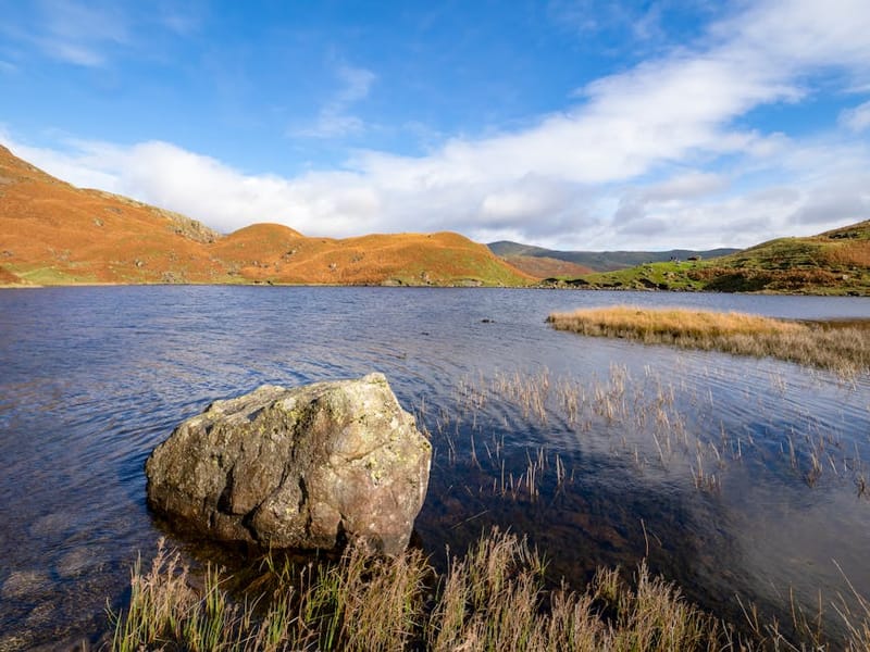 Dog-Friendly UK National Parks: The Complete 2026 Directory