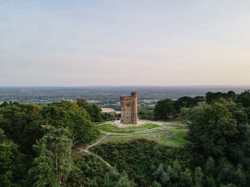 Dog-Friendly Surrey Hills: 2026 Guide