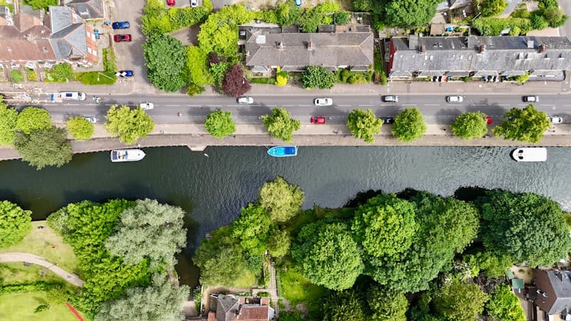 Dog-Friendly Norfolk Broads: 2026 Boats, Walks & Pubs Guide