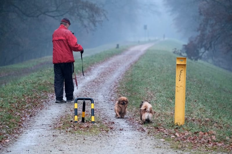 A woman walking her dog along a country path with hills behind, England