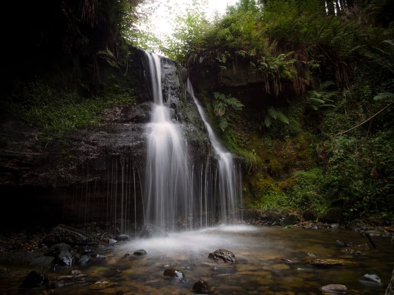 Dog-Friendly Waterfalls in the UK (2026)