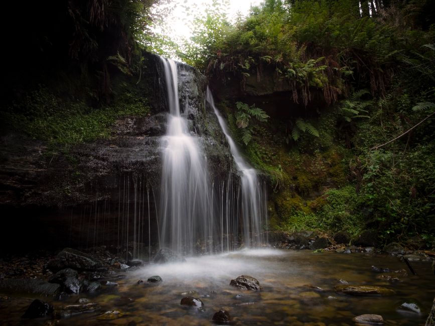 Dog-Friendly Waterfalls in the UK (2026)