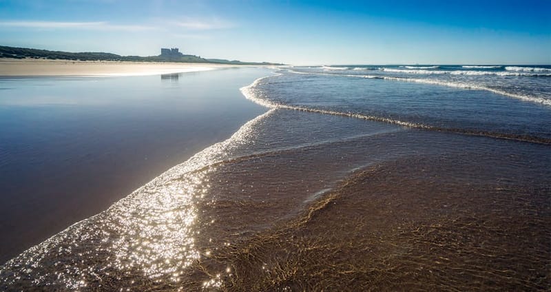 Dog-Friendly Northumberland: The Complete Guide for 2026