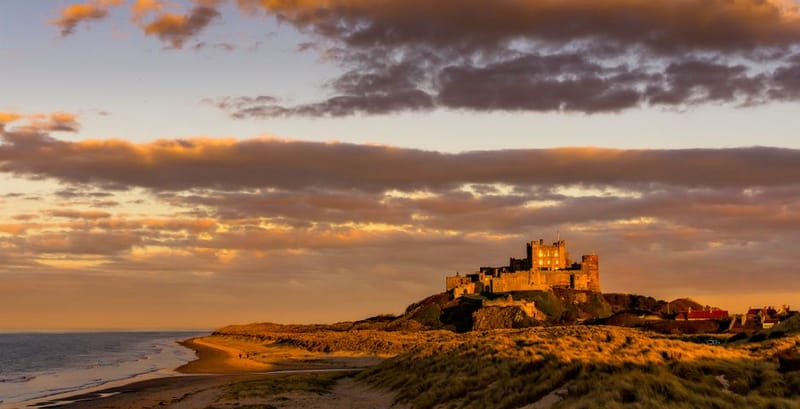 Dog-Friendly Northumberland Coast 2026: Bamburgh to Berwick