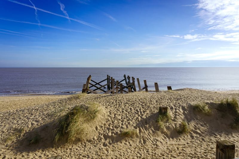 Dog-Friendly Norfolk Coast 2026: Holkham, Wells, Brancaster