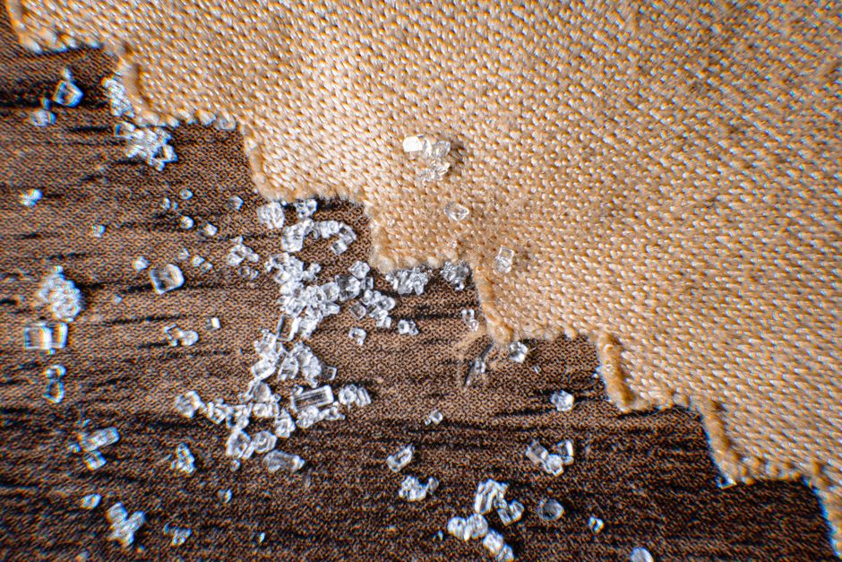 Biodegradable tofu cat litter