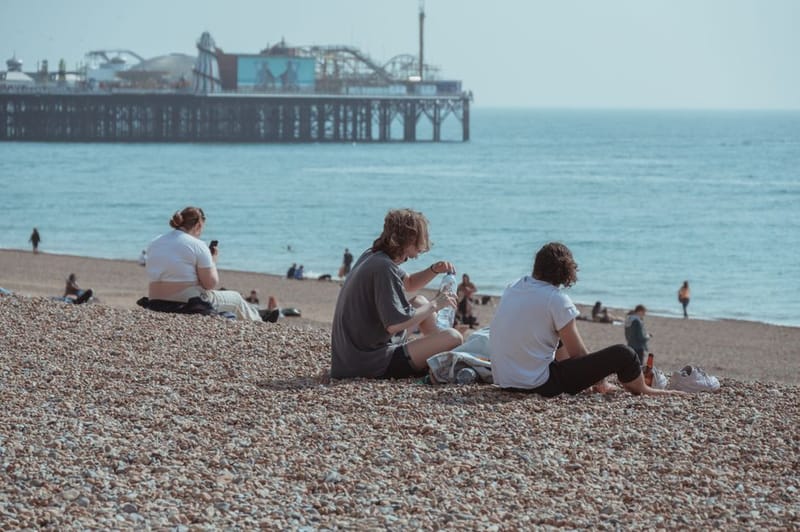 Dog-Friendly Brighton & Sussex Coast (2026) Guide