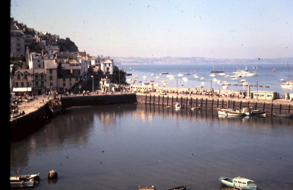 Brixham Beaches Dog Allowed + Seasonal Restrictions UK 2026