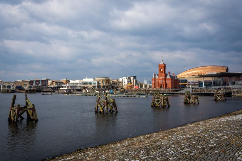 Dog-Friendly Cardiff: 2026 City Guide