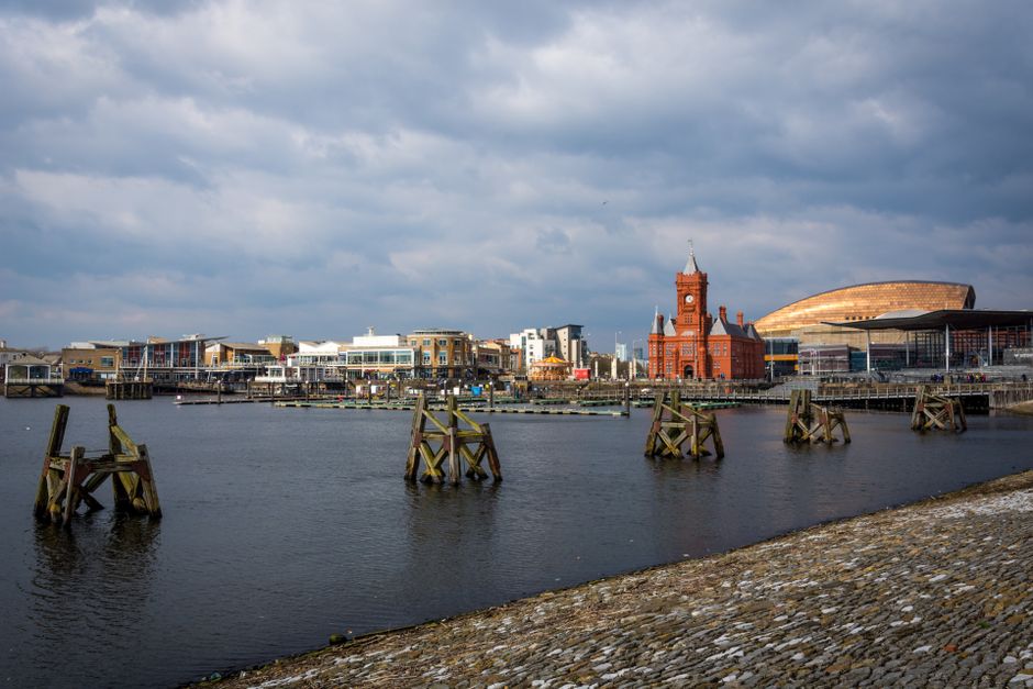 Dog-Friendly Cardiff: 2026 City Guide