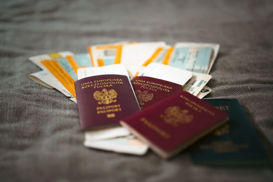 UK Dog Passports + EU Travel 2026