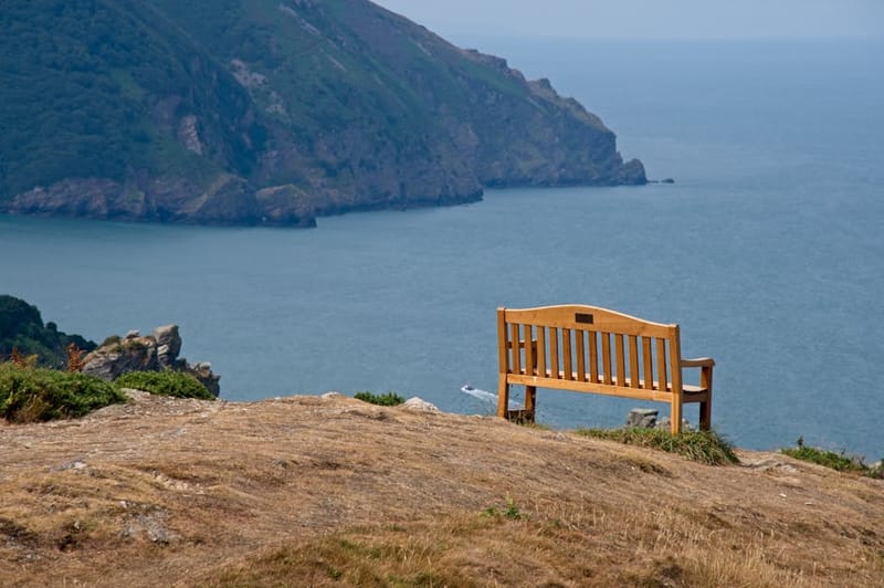 Dog-Friendly Exmoor: The Complete National Park Guide 2026