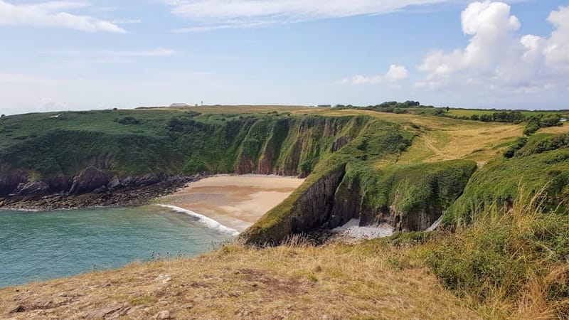 Dog-Friendly Beaches Wales: The 2026 Complete Guide
