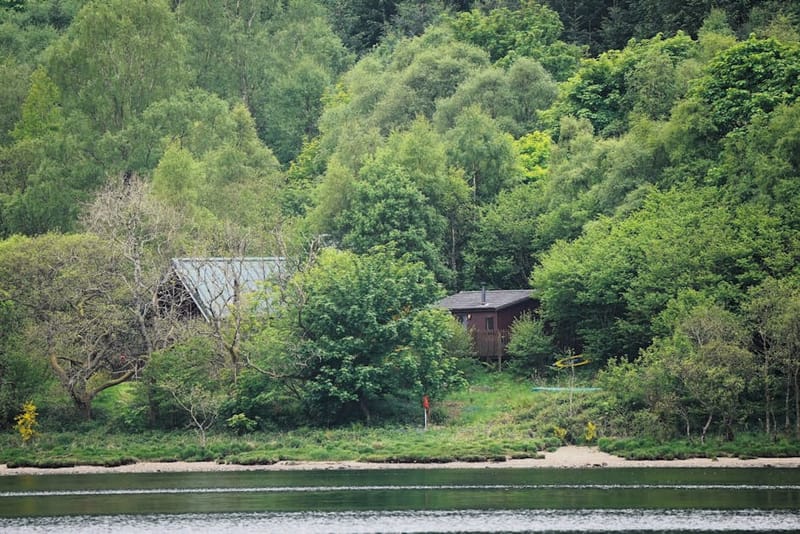 Hoseasons Pet-Friendly Review: Lodges, Parks & Cottages