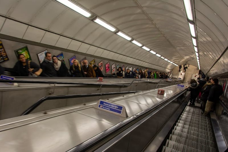 Dogs on London Transport: TfL, Tube & Taxi Rules 2026