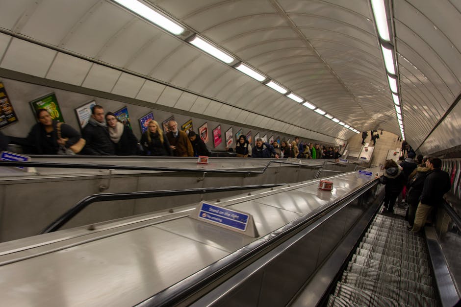 Dogs on London Transport: TfL, Tube & Taxi Rules 2026