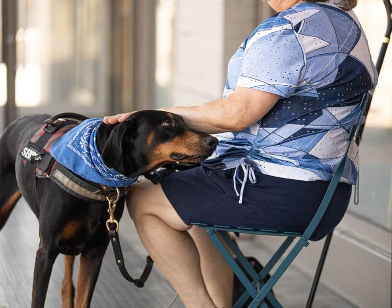Dog cooling apparel - illustrative image; see merchant link for the exact Ruffwear Swamp Cooler Cooling Dog Vest
