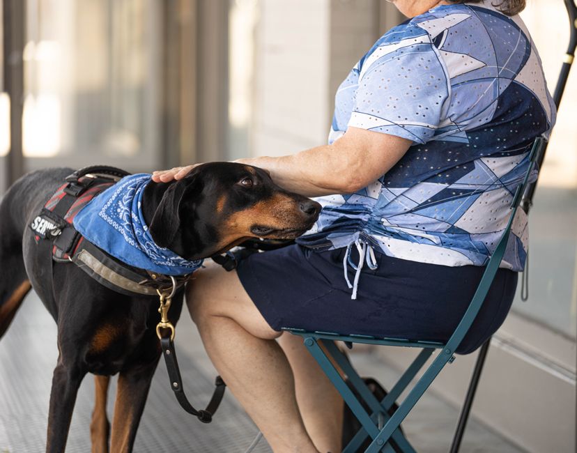 Dog cooling apparel - illustrative image; see merchant link for the exact Trespaws Coolio Cooling Bandana