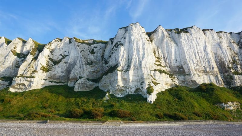 Dog-Friendly Kent: The Complete 2026 Guide