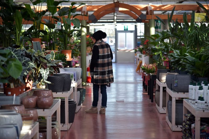 Are Dogs Allowed in Garden Centres? UK Guide