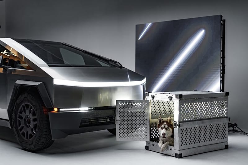 Dog resting inside a travel crate in the back of a car