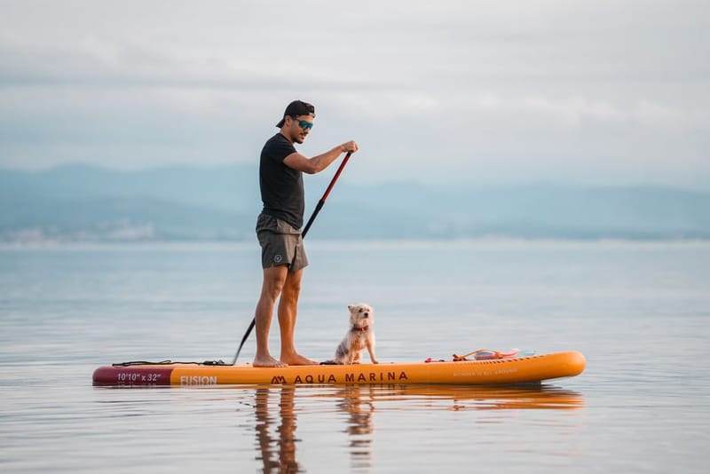 Dog-Friendly Paddleboarding & Watersports UK