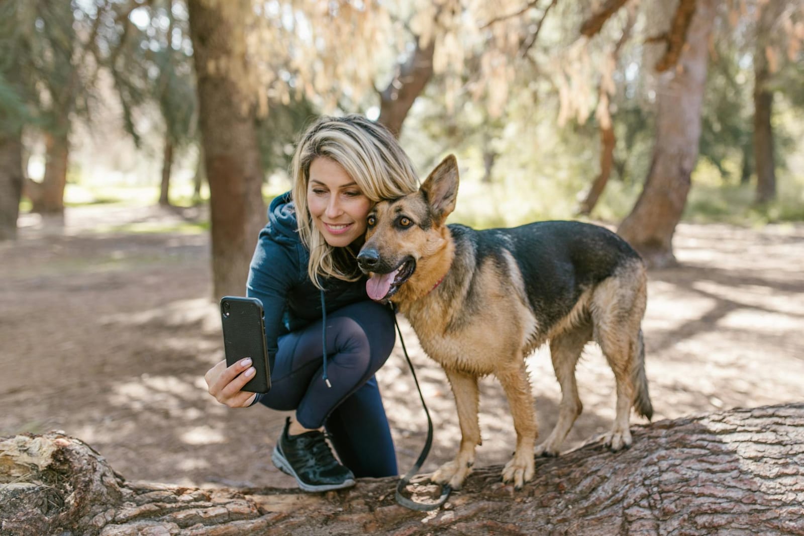 Dog walker checking a phone app during a walk