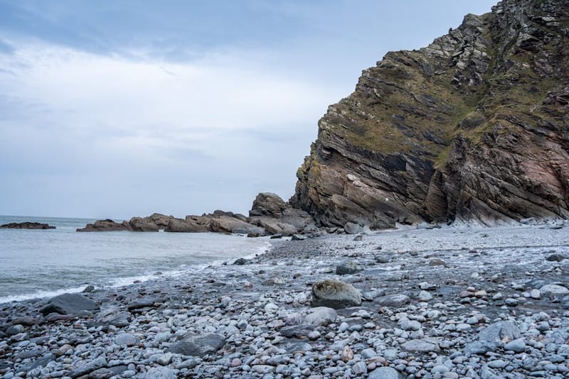 Dog-Friendly Devon: The Complete Guide for 2026