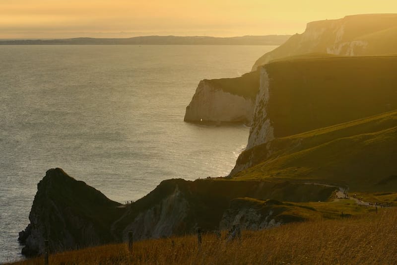 Dog-Friendly Dorset 2026: Beaches, Walks & Stays