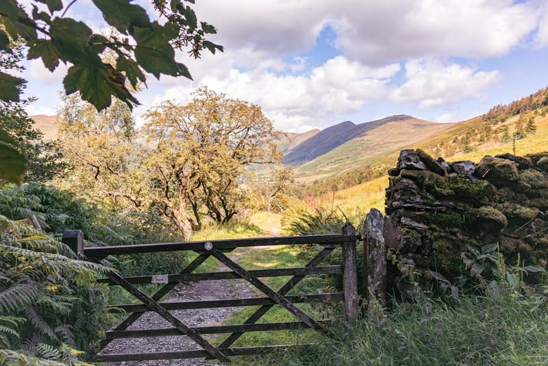 Explore the tranquil gate view of Troutbeck's countryside path in summer.