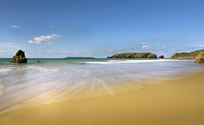 Dog-Friendly Pembrokeshire: A Complete Guide for 2026
