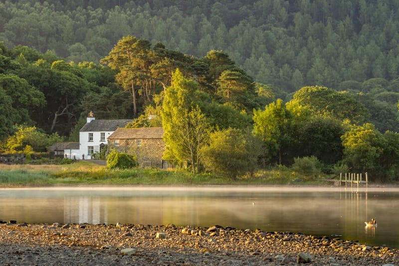 Top 10 Pet-Friendly Holiday Cottages in the Lake District