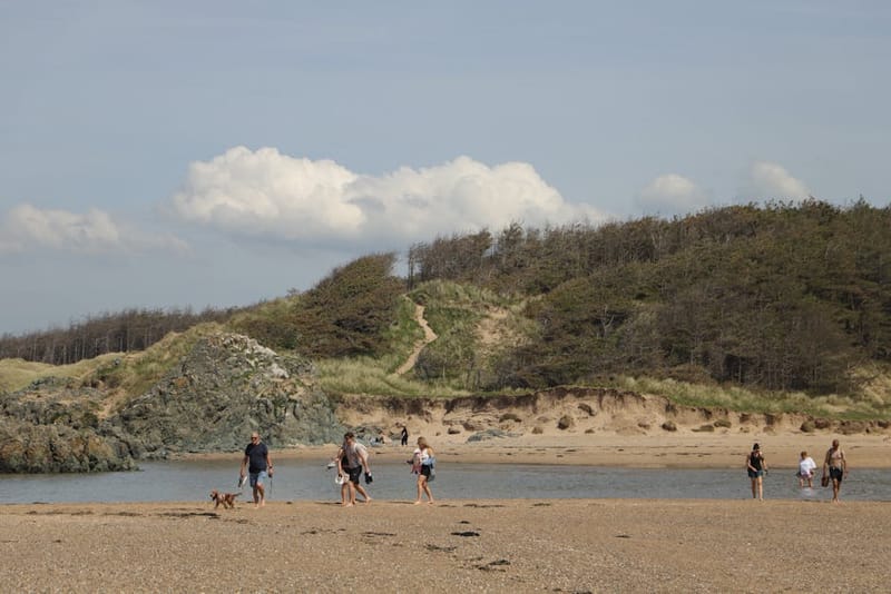 Dog-Friendly Summer Holidays UK: 12 Ideas for 2026