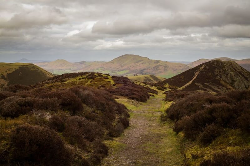 Dog-Friendly Shropshire Hills (2026)