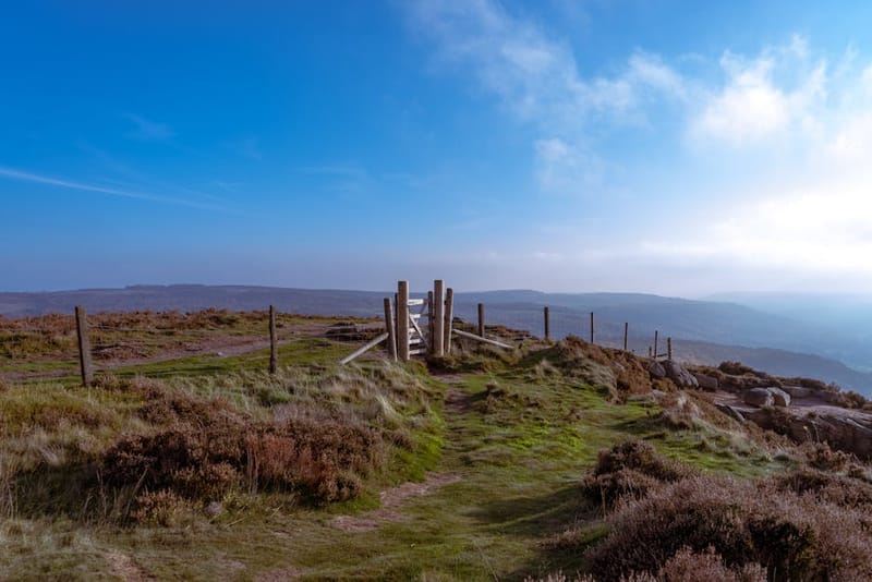 Dog-Friendly North York Moors: 2026 National Park Guide