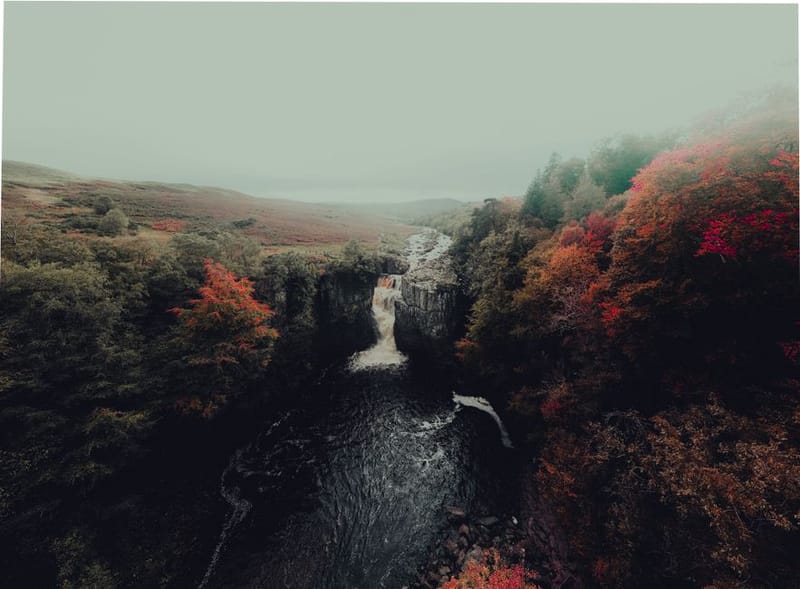 Dog-Friendly County Durham: Walks & Coast