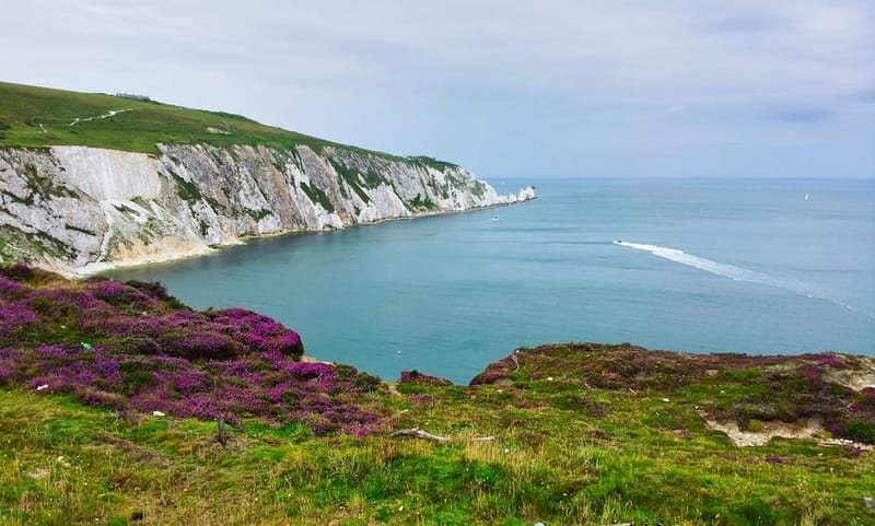 Dog-Friendly Isle of Wight 2026: Ferries, Beaches, Walks